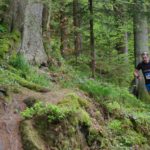 Pfreimdtaltrail 2017