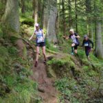 Pfreimdtaltrail 2017