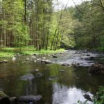 Pfreimdtaltrail 2017