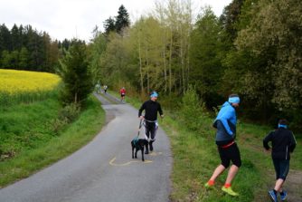 Fotos Pfreimdtaltrail 2019 - Atzenhof km 2