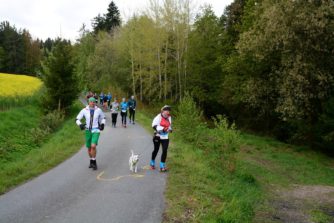 Fotos Pfreimdtaltrail 2019 - Atzenhof km 2