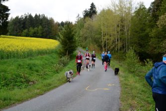 Fotos Pfreimdtaltrail 2019 - Atzenhof km 2