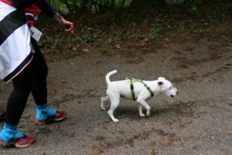 Pfreimdtaltrail 2019